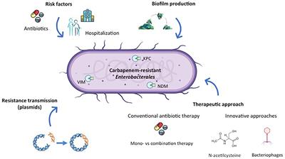 Editorial: Enterobacteriaceae Antimicrobial Agents and Resistance: Relationship With the Therapeutic Approach